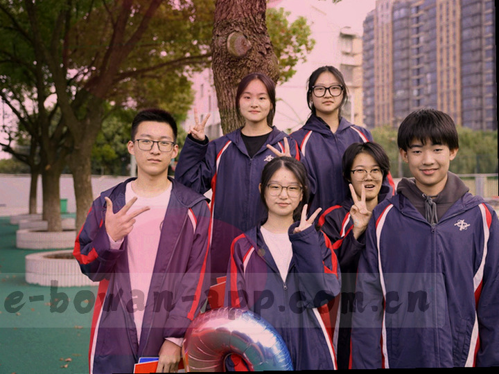 移动设备登录界面局部截图风格画面，仅显示输入框与按钮区域